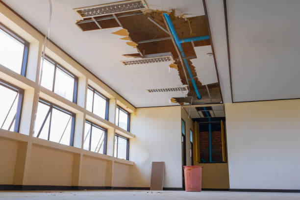 Best Basement water damage restoration  in Lely, FL