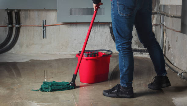 Best Sewage cleanup and water damage restoration  in Lely, FL