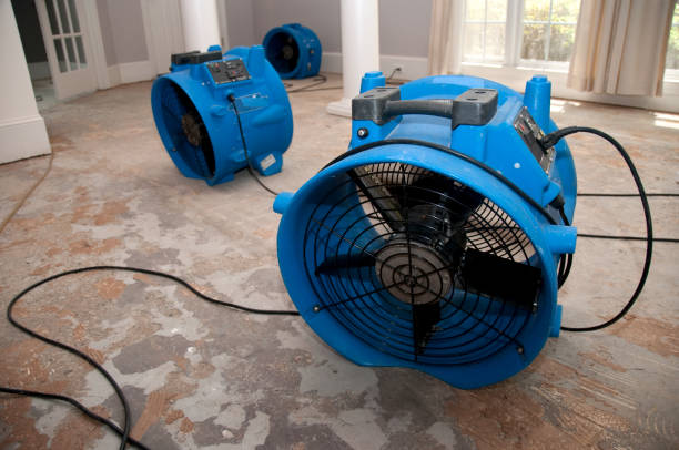 Best Local water damage restoration  in Lely, FL
