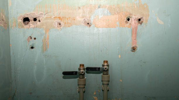  Lely, FL Water damage restoration Pros