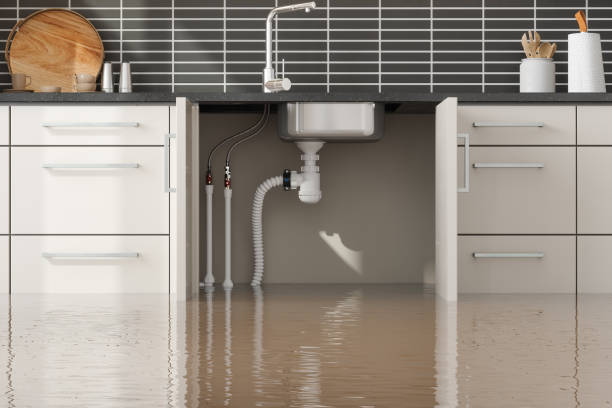 Professional Water damage restoration in Lely, FL