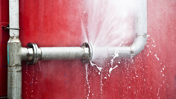 Best Carpet water damage restoration  in Lely, FL